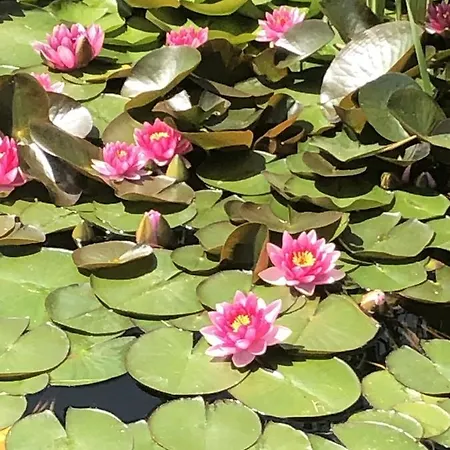 Bastide De Ramatuelle